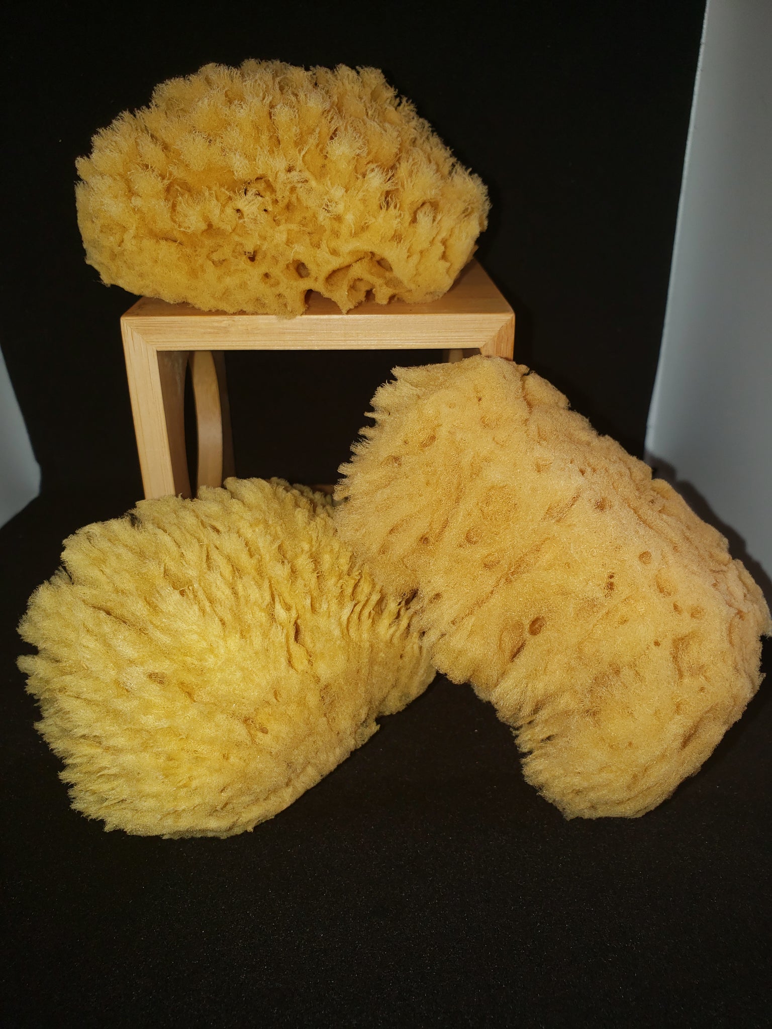 Two Black Sponges Household Needs Image Stock Photo 2088999217
