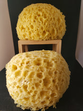 Load image into Gallery viewer, All-Natural Dead Sea Sponges
